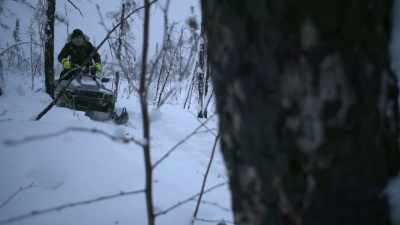 This tree is going to keep
us warm for weeks to come. - Life Below Zero: Next Generation