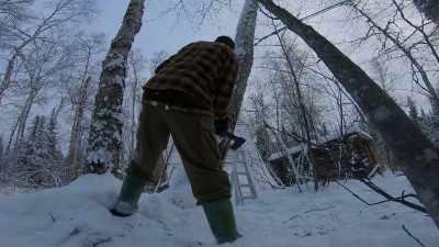 This tree, you know,
I can just tell, - Life Below Zero: Next Generation