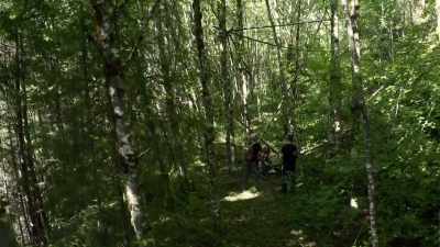 This tree structure
 is where the kill
 would actually take place. - Expedition Bigfoot
