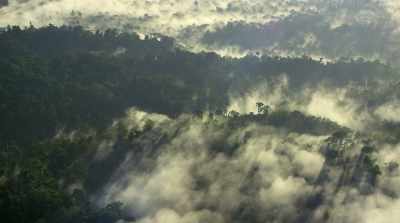 This truth defined the life we led
in our pre-history, - David Attenborough: A Life on Our Planet