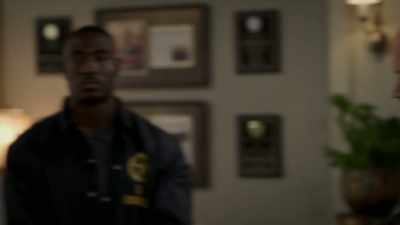 This is U.S. Marshall Haynes
and Rafi Fadeek, - Bluff City Law