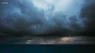 This unpredictability
makes filming in our seas - Wild Isles