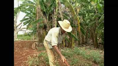 This is useless - Cuba and the Cameraman