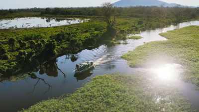 This vast wetland is the Pantanal. - The Green Planet