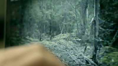 THIS VIDEO COULD PROVE THAT
AN ANIMAL THAT ONCE WAS THOUGHT - Strange Evidence
