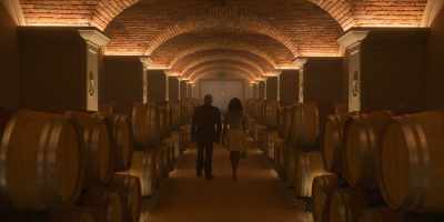 This vineyard has been
in my family for almost 800 years. - Love in the Villa
