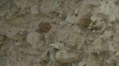 This wall can see all the layer - God Code