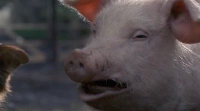 This is war The only good human is a dead one - Animal Farm