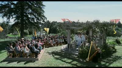 This was some wedding. - The 40 Year Old Virgin