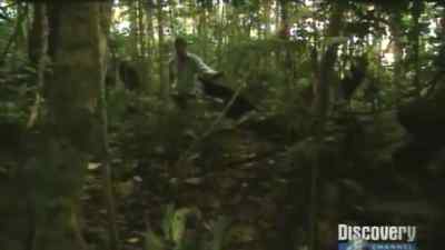 This waterfall
may seem very beautiful - Man vs. Wild