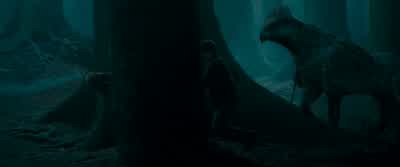 This way, now. - Harry Potter and the Prisoner of Azkaban