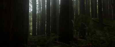 This way? - Pete's Dragon