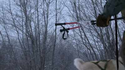 This way. This way.
You're free. Go. - Life Below Zero: Next Generation