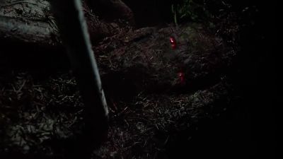 This is weird. - The X-Files