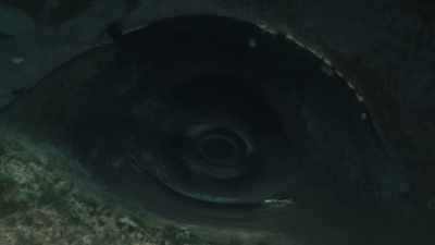 This whale is here - Planet Earth III