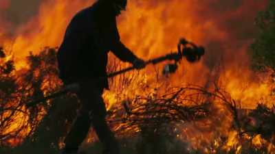 This is what any fire lilies here
should be waiting for. - The Green Planet