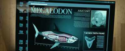This is what
attacked us. A megalodon. - The Meg