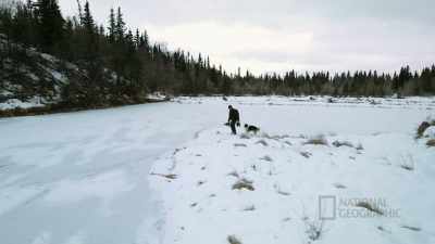 This is what feels good
and natural to me. - Life Below Zero: First Alaskans