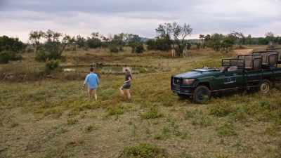 This is what I envisioned
for the theme park. - A Safari Romance
