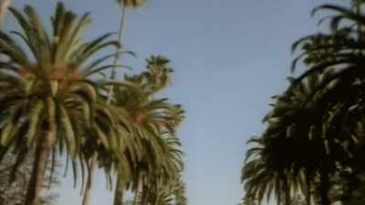 This is what
I've been looking for." - Music Box: Yacht Rock: A DOCKumentary