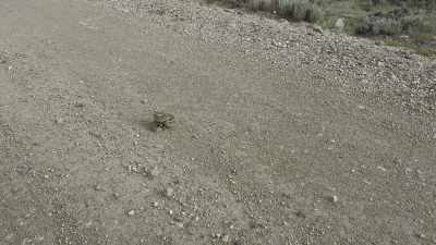 This is what we
like to call a "downhill", - The Devil's Climb