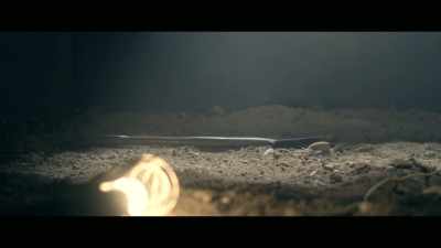 - This is when
gacy crosses over, - Invisible Monsters: Serial Killers in America