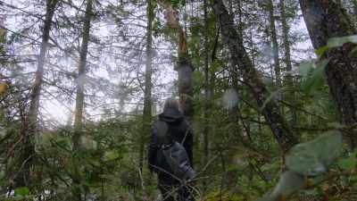 This is when I need
Jason, just like I needed - Chefs vs Wild