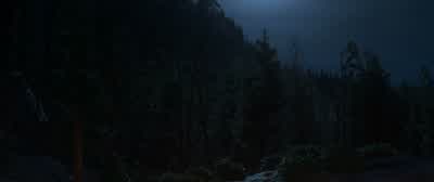 This where we cut our racing team in the woods let's just say the boom was always shinemoons if the moon didn`t shine we didn't have to... - Cars 3