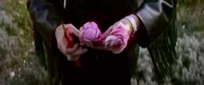 This is where they grow
all the flowers - Mystify: Michael Hutchence
