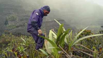This is where now we really need
the weather to be good, - Explorer: The Last Tepui