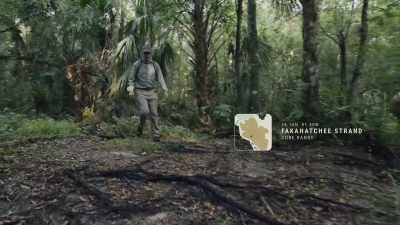 This is where the panther project
began for me. - Path of the Panther