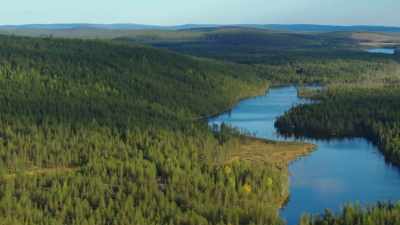 This is where wild things live. - Wild Nordic