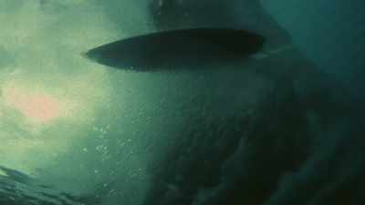 "This is who I am."
I was that surfer kid. - Momentum Generation