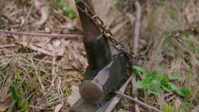 -This is why my knowledge
of "Survivor" helps me, - The Traitors
