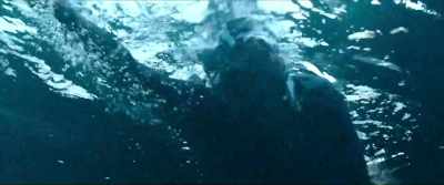 This is why we swim
that extra lap, - NYAD