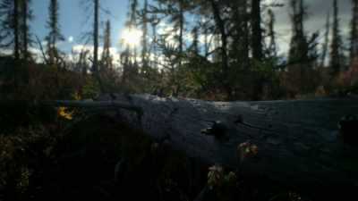 This will be his
first winter in the
unknown territory. - Life Below Zero: Next Generation