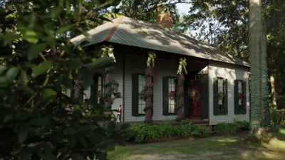 "This will be
your best Christmas ever." - My Southern Family Christmas