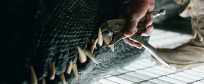 This will make a perfect
centerpiece for my necklace. - Jurassic World: Fallen Kingdom