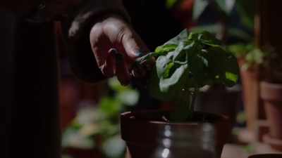 This will remove
the succubus's glamour. - Midnight, Texas