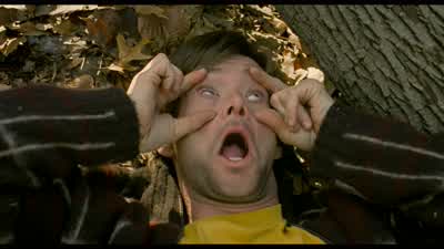 Boy that's working like gangbusters - Eternal Sunshine of the Spotless Mind