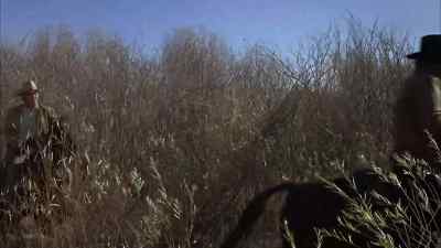 This is worse than a pig trail. - True Grit