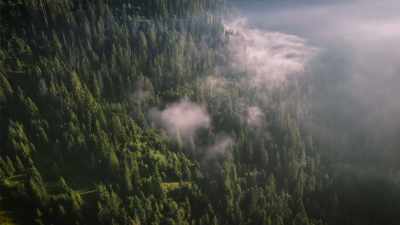This would cover all
continents, North America, - Secrets of the Sasquatch