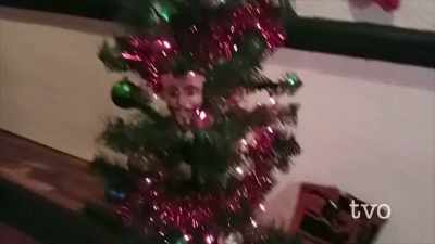 This is Xander's
first Christmas on Planet Earth. - The Face of Anonymous