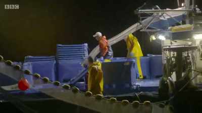 This year, we ended up catching
just over 600 tonnes. - Cornwall: This Fishing Life