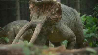 This young male
looks to be in prime condition. - Prehistoric Planet