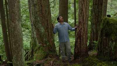 This younger tree
here is its offspring, - Cosmos: Possible Worlds