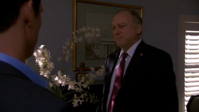 This was your idea,
wasn't it? Shaking down
a sitting congressman. - Burn Notice
