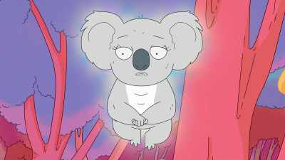 This is your purpose, and
your journey is not over yet. - Koala Man