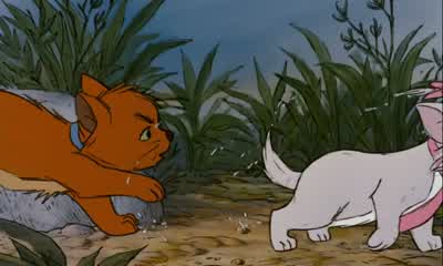 Thomas! - The Aristocats