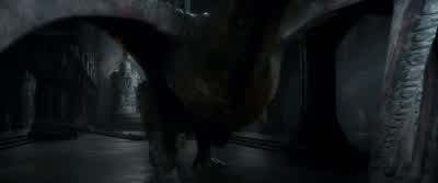 THORIN: Here! - The Hobbit: The Desolation of Smaug